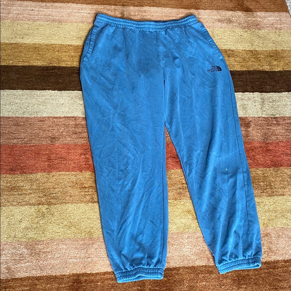 The North Face Teal Fleece Pants